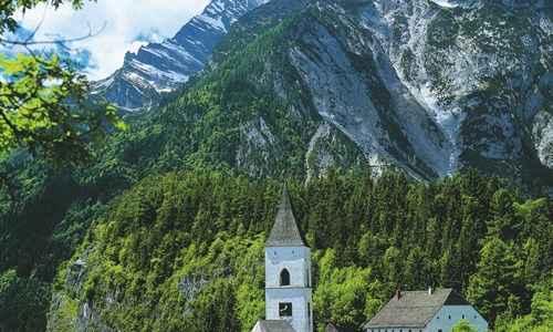 Festival narcisů v Solné komoře - Rakousko, Pürgg