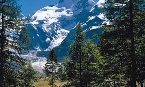 Graubünden, největší švýcarský kanton - Bernina, Švýcarsko