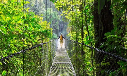 Kostarika - mezi mořem, pralesy a sopkami - Arenal - visuté lávky v pralese