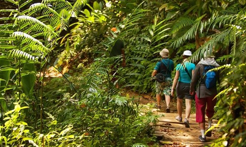 Kostarika - mezi mořem, pralesy a sopkami - Trek pralesem v Monteverde