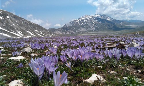 Palmová riviéra pro gurmány - Palmová riviéra - Gran Sasso