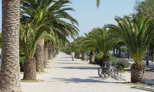 Palmová riviéra pro gurmány - Palmová riviéra - San Benedetto