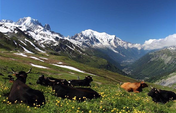 Putování Švýcarskem až pod Mont Blanc