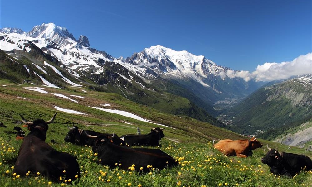Putování Švýcarskem až pod Mont Blanc