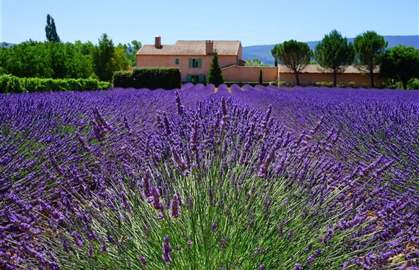 Skryté perly Provence - program s koupáním v moři, jezeře i řece