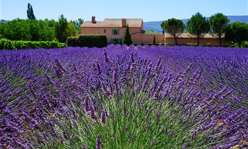 Skryté perly Provence - program s koupáním v moři, jezeře i řece - Provence