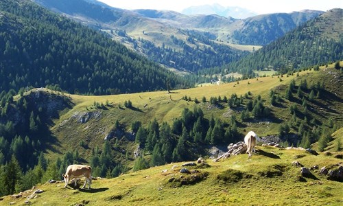 Korutanský kaleidoskop s Korutanskou kartou a wellness - Korutanský kaleidoskop