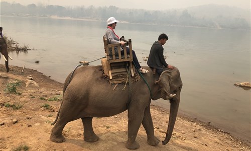 Laos a Kambodža - Luang Prabang - sloní vesnice