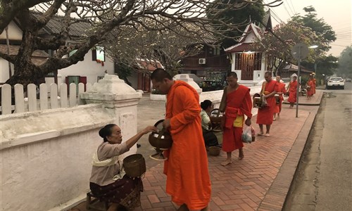 Laos a Kambodža - Luang Prabang - obdarování mnichů