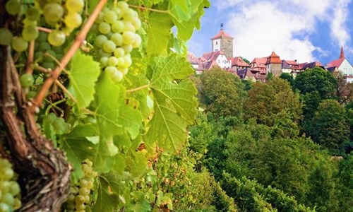 Francké Švýcarsko a romantická vinná stezka - exkluzivní zájezd za vínem, norimberským pivem a poznáním