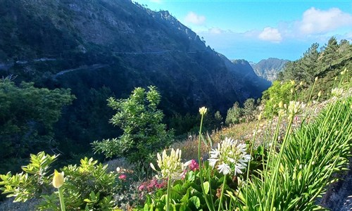 Madeira - květinová a turistická - Madeira