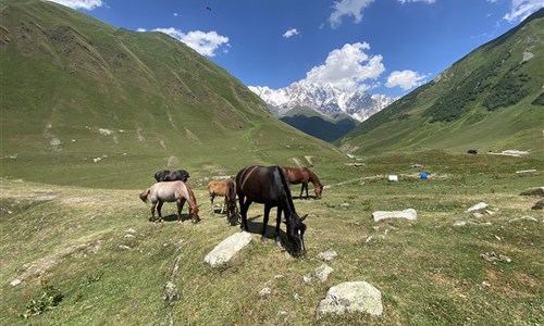 Gruzie s turistikou nejen po Kavkazu - Nejvyšší hora Gruzie - Mt Shkhara