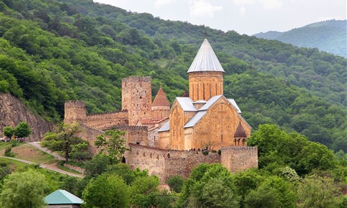Gruzie s turistikou nejen po Kavkazu - Pevnost Ananuri