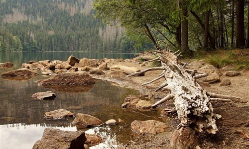 Bavorský  les, Šumava a Pasov - Bavorský les, Šumava a Pasov