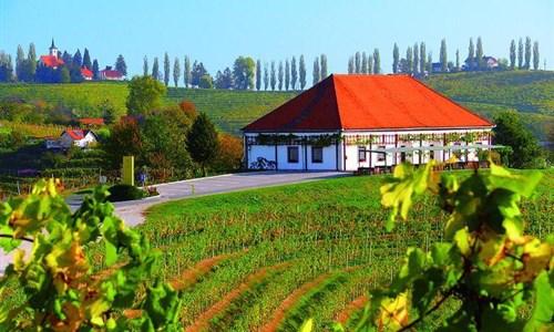 Ze slovinského Toskánska k vinicím u Jadranu i smaragdové Soče - Ze slovinského Toskánska