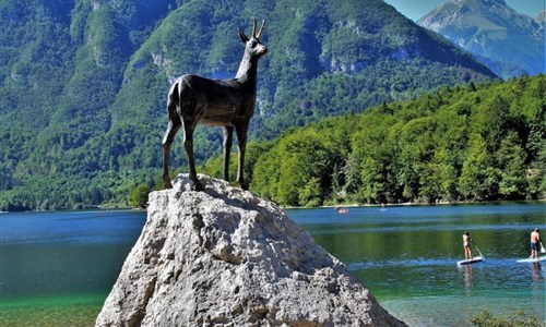 Luxusní pobyt v lázních Bled s výlety v Julských Alpách a Lublaň - Luxusní pobyt Bled