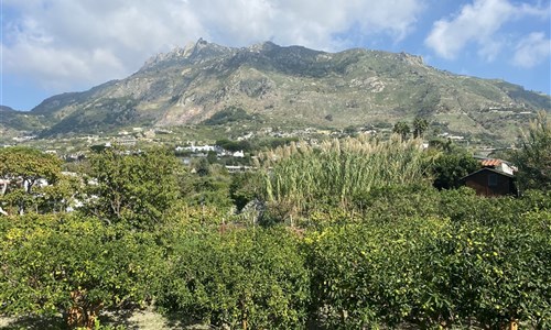 Ischie turistická - Monte Epomeo, Ischia