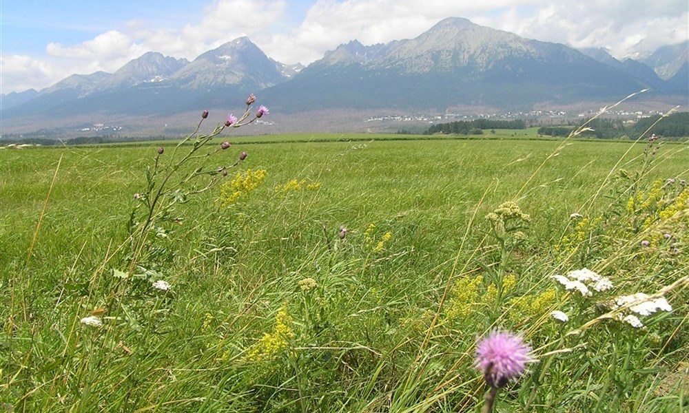 Do Tater za přírodou a termály po železnici