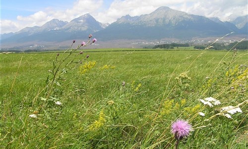 Do Tater za přírodou a termály po železnici - Vysoké Tatry