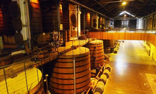 Bordeaux a Akvitánie - autobusem - Akvitánie - Cognac Martell