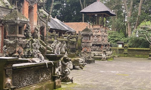 Bali - ostrov chrámů, rýžových polí a úsměvů - Ubud - opičí les