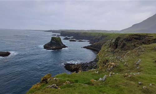 Island - západní fjordy - Čedičové útesy u Arnarstapi