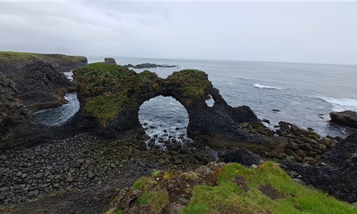Island - západní fjordy - Čedičové útesy u Arnarstapi