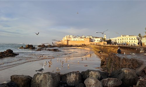 Maroko – za Berbery do pouští, oáz  a Vysokého Atlasu - Essaouira