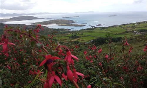 Irsko - smaragdový ostrov - letecky - Irsko - krajina