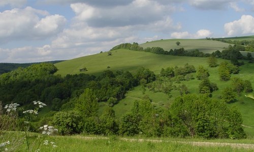 Bílé Karpaty - Žítková - Bílé Karpaty