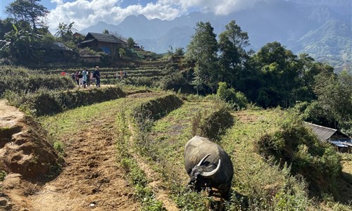Vietnamem od Mekongu až do Sapy - Procházka mezi rýžovými poli