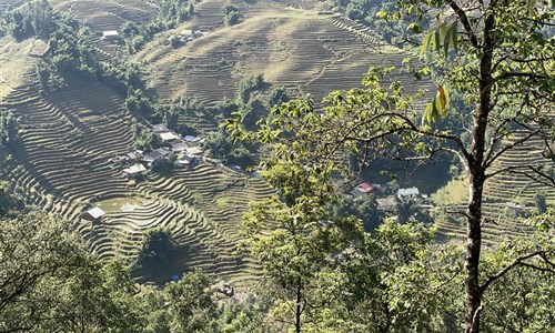 Vietnamem od Mekongu až do Sapy - Rýžové terasy v okolí Sapy