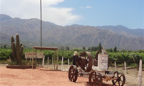 To nejlepší z Brazílie a Argentiny - Cafayate