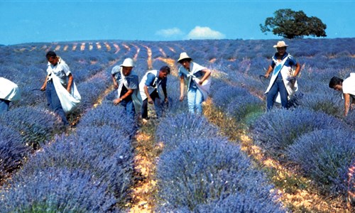 Přírodní parky a památky Provence