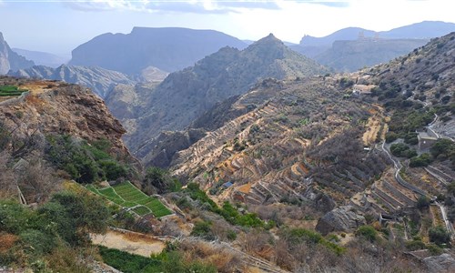 Omán – země kadidla, pouští, hor a kaňonů - Terasovitá políčka v Jebel Akhdar