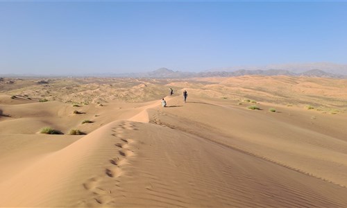 Omán – země kadidla, pouští, hor a kaňonů - Písečné duny Wahiba sands