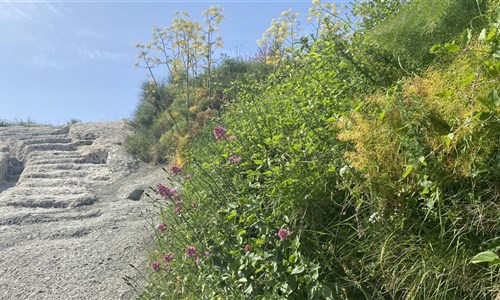 Ischie turistická - Cestou na Monte Epomeo