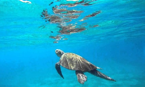 Zakynthos s výletem na Kefalonii