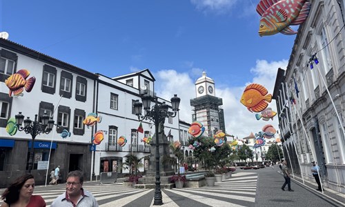 Azorské ostrovy - São Miguel a Terceira - pěší turistika - Sao Miguel, Ponta Delgada