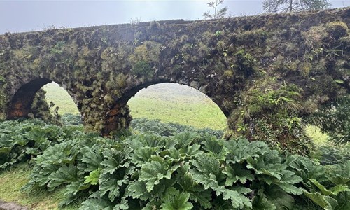 Azorské ostrovy - São Miguel a Terceira - pěší turistika - most