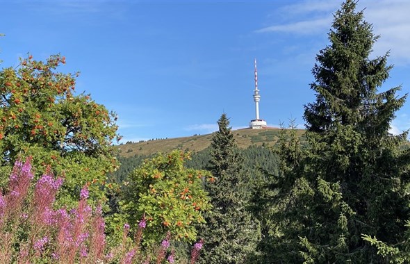Česká republika
