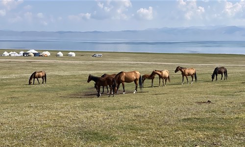 Kyrgyzstán - rajská příroda jezer a hor - Procházka u jezera Son-Kul