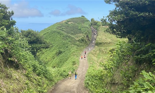 Azorské ostrovy - São Miguel – pěší turistika v zeleném ráji - Pěší túra Mata do Canário