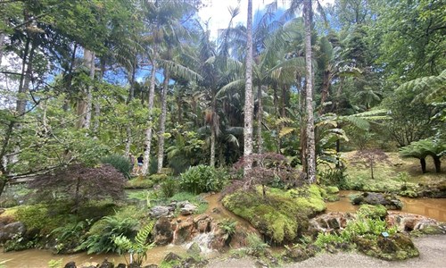 Azorské ostrovy - São Miguel – pěší turistika v zeleném ráji - Botanická zahrada Terra Nostra