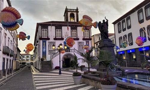 Azorské ostrovy - São Miguel – pěší turistika v zeleném ráji - Radnice v Ponta Delgada