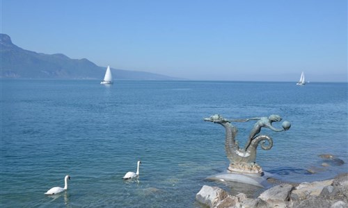 Vlakem a lodí od Jungfrau až pod Mont Blanc - Ženevské jezero
