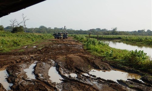 Aktivní Srí Lanka - pro radost duše i těla - Udawalawe