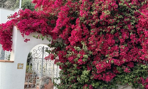 Neapolský záliv a Ischie letecky - Ischie, Bougainvillie