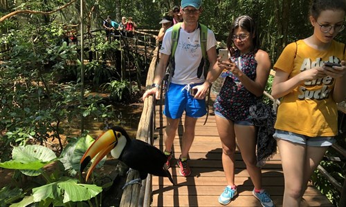 Rio de Janeiro, vodopády Igucu a ostrov Ilha Grande - ptačí park u vodopádů Iguacu