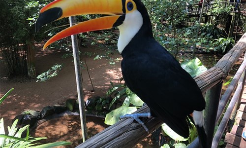 Rio de Janeiro, vodopády Igucu a ostrov Ilha Grande - ptačí park u vodopádů Iguacu